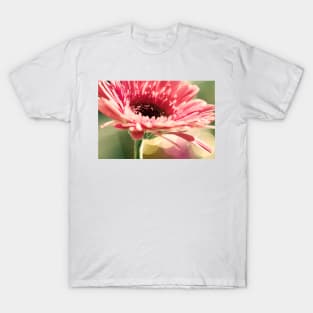 Untitled T-Shirt